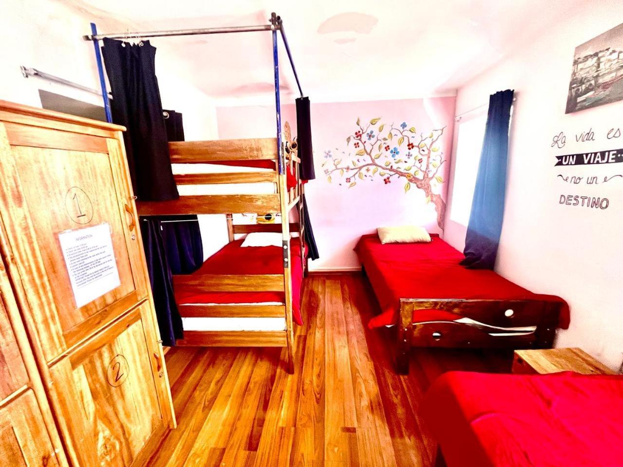 Cusco House Inn Hostel 外观 照片